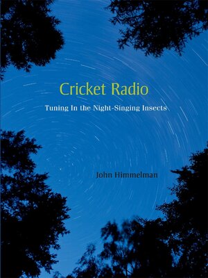 cover image of Cricket Radio